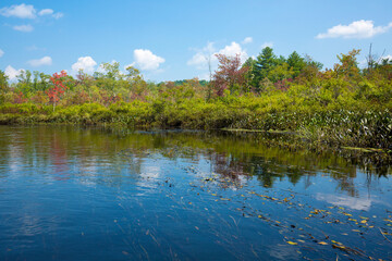 Quinebaug River Canoe Trail in East Brimfield, Massachusetts.