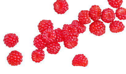 Raspberries, top view, scattered, isolated on a white background