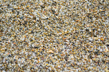 The texture of the sand is close-up as a background.