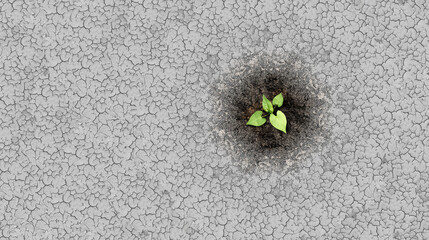Climate change crisis cycle as a dried or dry cracked land suffering from drought turning into rich moist organic earth with a growing young plant as a composite. - obrazy, fototapety, plakaty