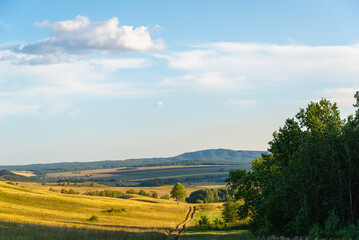 Obraz premium Sky with clouds, hills and trees. Beautiful landscape.