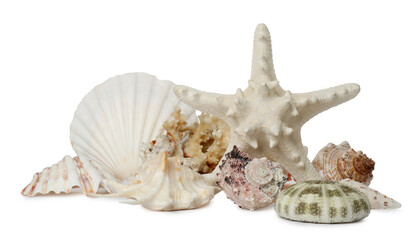 Beautiful starfish, coral and sea shells on white background
