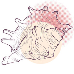 Spiked seashell in line art style on spotted background. Vector color hand drawn illustration. Elements for design seafood shop or menu, decor, label, print, poster, t-shirt.