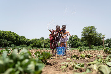 Two little black African girls standing in a cabbage field trying to irrigate the plants by...
