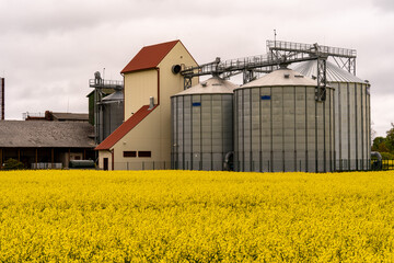 Napus processing plant in  yellow field