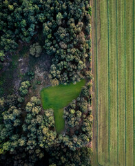 Vertical graphic top down aerial view of forest and farmland next to each other with a clear divide...