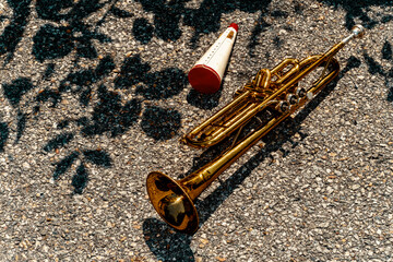 Jazz Trumpet Summer