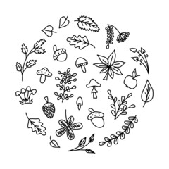 Autumn forest. Leaves, mushrooms, berries, twigs. Vector hand drawn design elements.