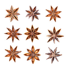 Various shapes of dried Chinese star anise isolated on white background.