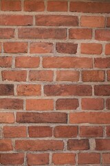 Obraz premium Ceglany mur w popołudniowym słońcu