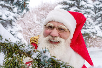 Xmas Santa Claus