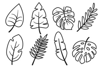 Tropical leaves abstract black line outline set isolated on white background. Monstera of different types, banana, other jungle plants. Collection for design. Decor elements. Vector illustration