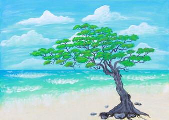 Gnarled old Japanese Juniper tree on sandy beach by ocean