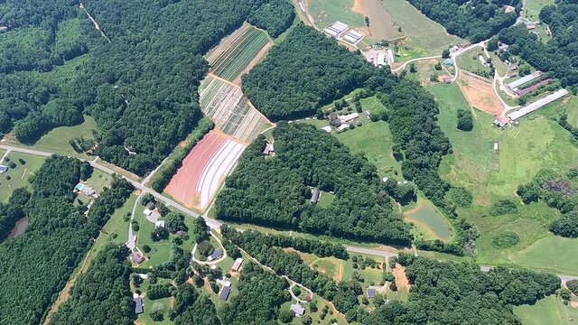 Aerial shot of multi colored agricultural landscape, Grays Chapel, North Carolina, USA