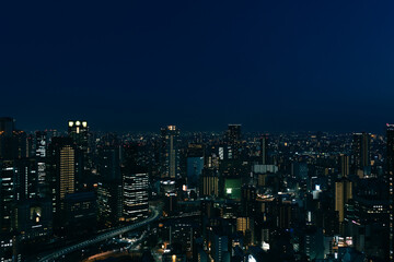 Fototapeta na wymiar 大阪の夜景
