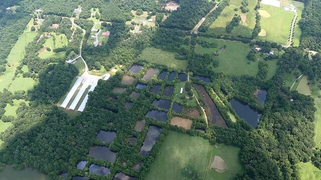 Bird eye view of landscape with farm and ponds, North Carolina, USA