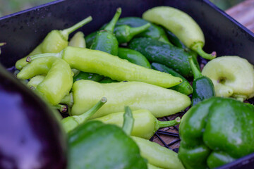 peppers at the market