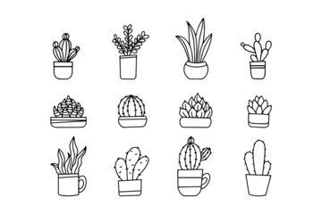 hand drawn cactus in pot isolated on white background. vector design collection