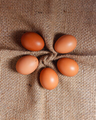 Eggs isolated on a bright background. Front photo. Egg wallpapers. Design, visual arts, minimalism. Egg templates. Organic chicken egg concept. Healthy organic food and diet concept. Focus blur.