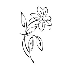 ornament 1922. blooming flower with large petals on the stem with leaves in black lines on a white background