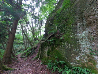 垂水遺跡、山形