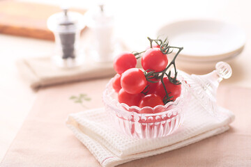 採れたてプチトマト