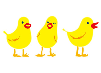 Three little yellow birds standing in a row