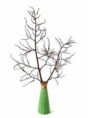 tree in a vase