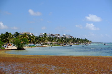 Mexico Playa del Carmen - Beach coastline Playa del Carmen