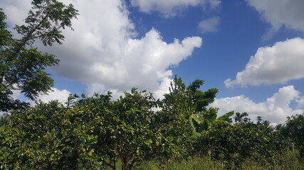 beautiful beach of Atalaia Aracaju Sergipe.
