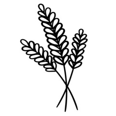 Plant-twig-13