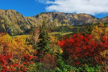 紅葉の立山 弥陀ヶ原　