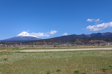 富士市中里付近の農地と富士山（静岡県富士市）