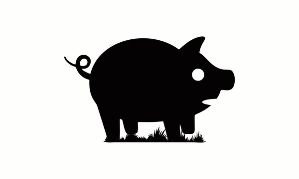 pig illustration