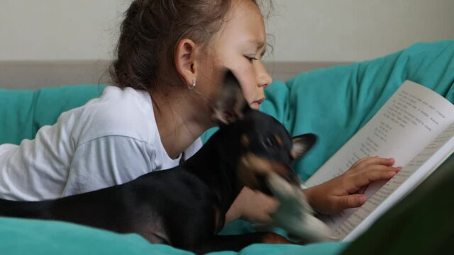 Little child girl is reading book on the sofa while her puppy dog is playing nearby and interfering her, close-up