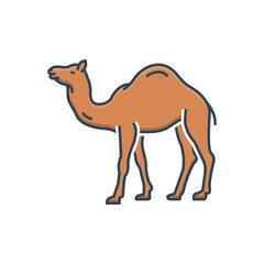 Color illustration icon for camel 