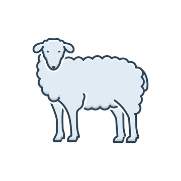 Color illustration icon for sheep 