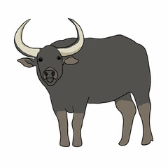 illustration of a buffalo on white background