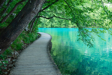 Scenic empty walkway runs along the shore of emerald lake in Plitvice park.