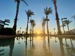 sunrise with pool & palms