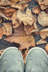 Gray leather shoes on asphalt road or footpath with autumnal leaves. Male footwear. Copy space for text