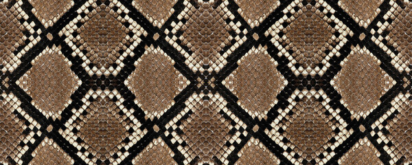 Snake skin pattern texture repeating seamless monochrome. Texture snake. Fashionable print. Fashion...