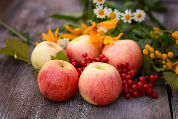 harvest natural apples viburnum decorated with wildflowers on vintage wooden gray white background from old boards