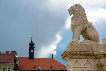 Sculpture of lion against old city roofs in Budapest