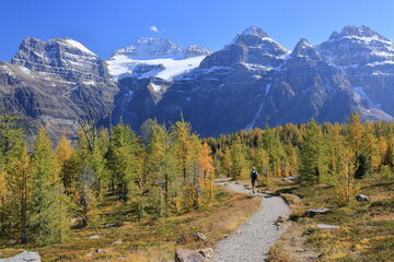 Obraz premium larch valley trail in autumn