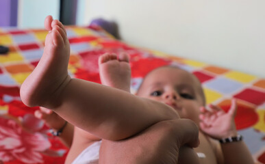 newborn baby's little feet.close up of legs.