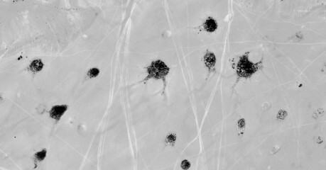 cancer,  Black and white photo, abstract photography of landscapes of the deserts of Africa from...
