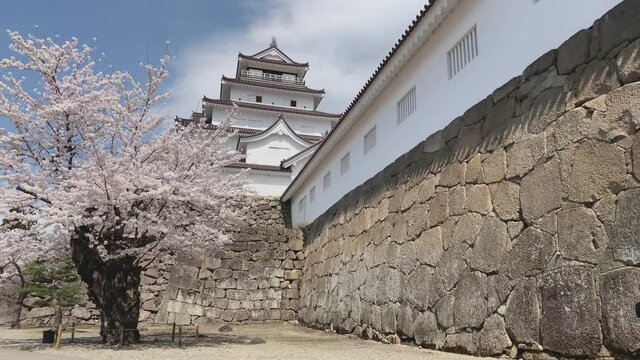 会津若松城 鶴ヶ城 国指定史跡 桜 福島県
