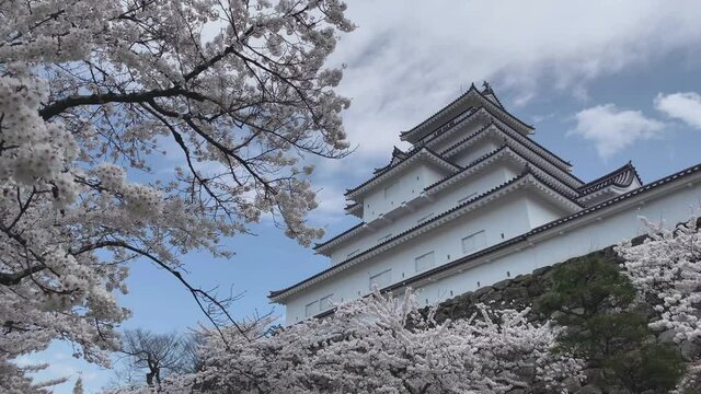 会津若松城 鶴ヶ城 国指定史跡 桜 福島県