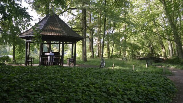 Un homme seul joue du piano dans les bois du Parc de la T&ecirc;te d'Or